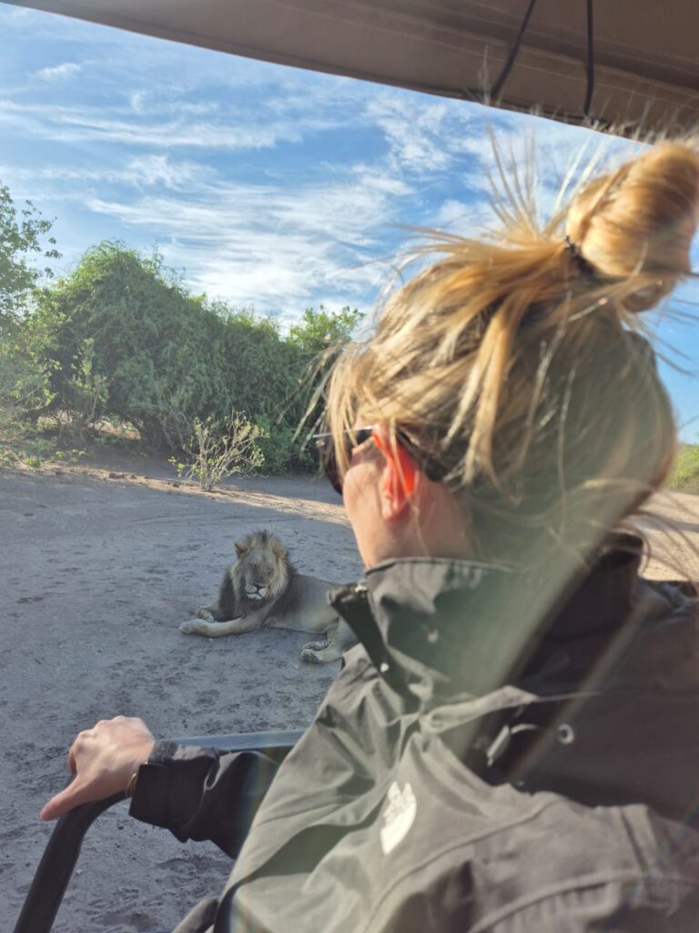 woman looking at a lion on a safari drive