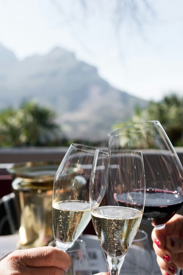 close up of raising a wine glass