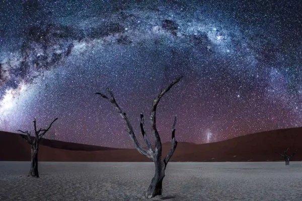Starry night sky in desert