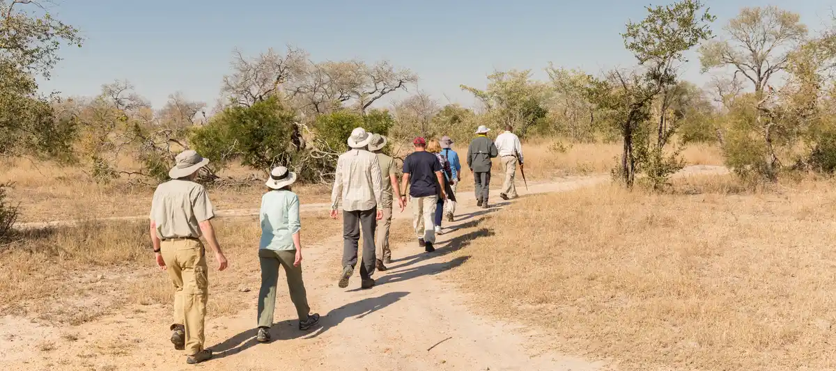 people hiking on a dirt road