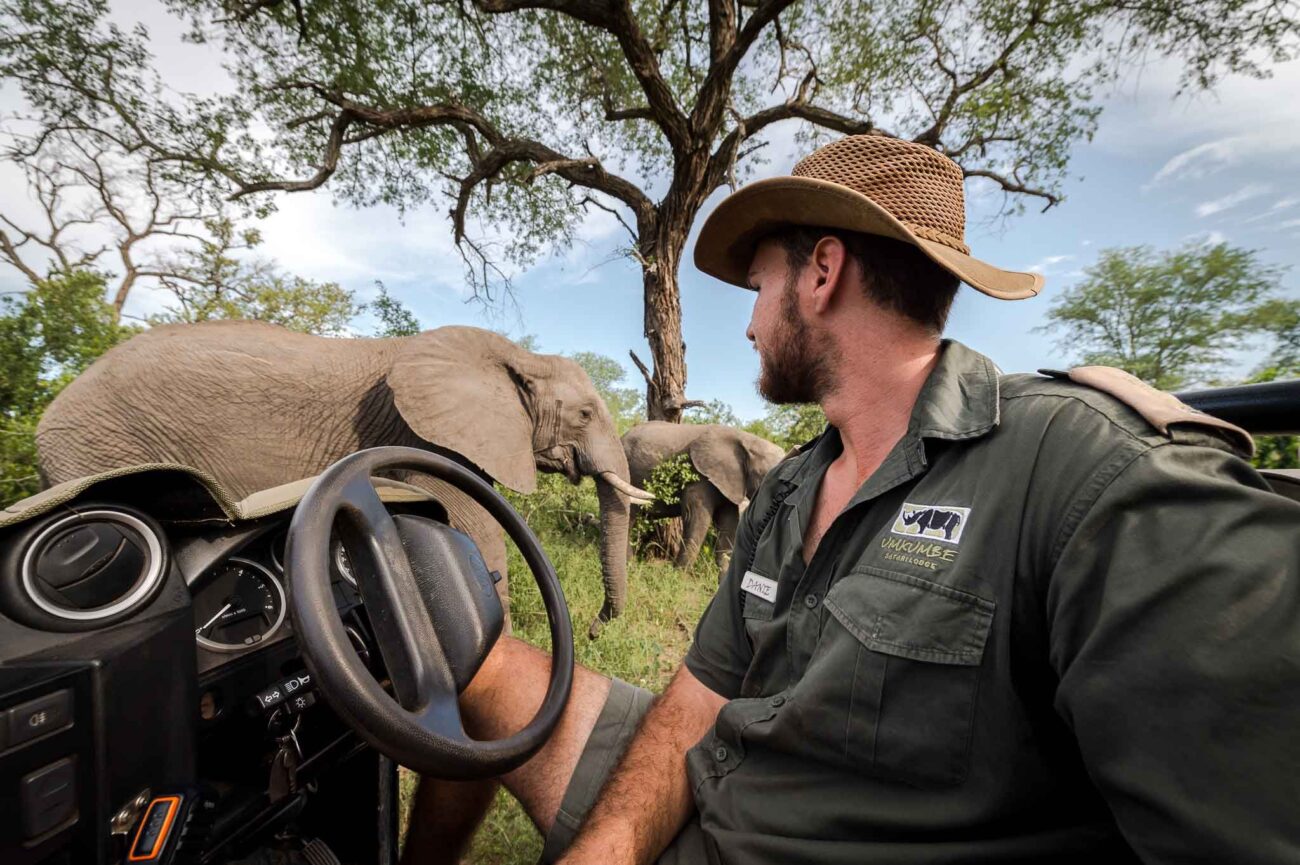 photo taken by tour guide with elephants in the background