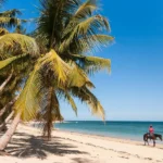 horse riding on the beach with palm trees