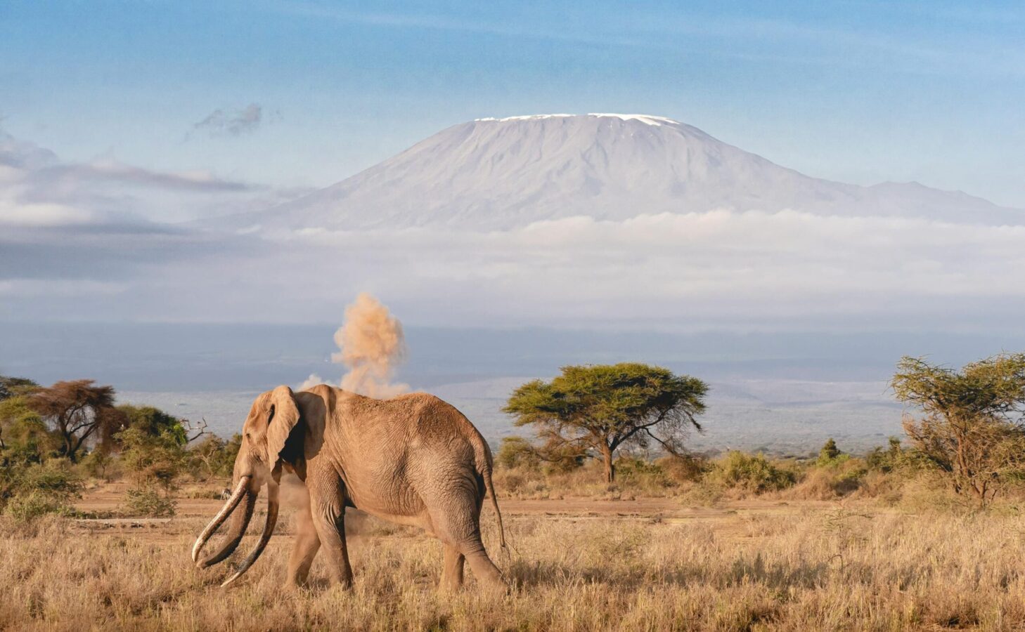 Is It Safe to Travel to Africa in 2026?