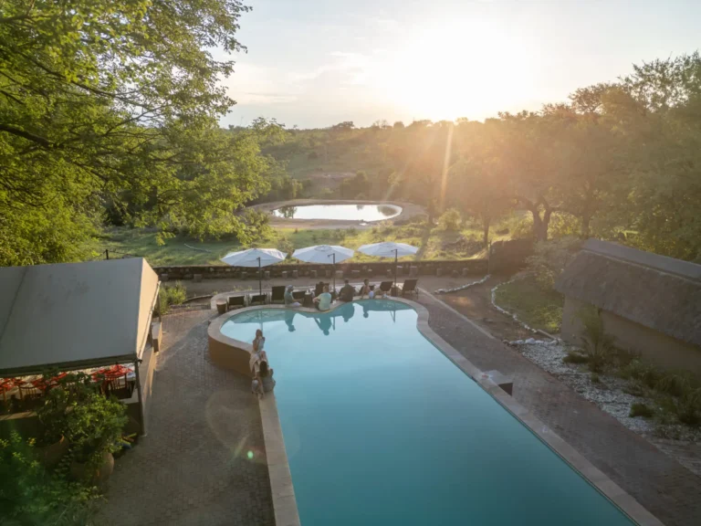 Large swimming pool overlooking watering hole with people relaxing nearby