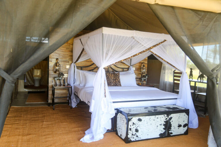 african themed bedroom with white bedding and mosquito net