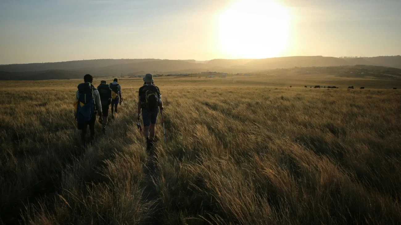 group-people-bush-walk-safari