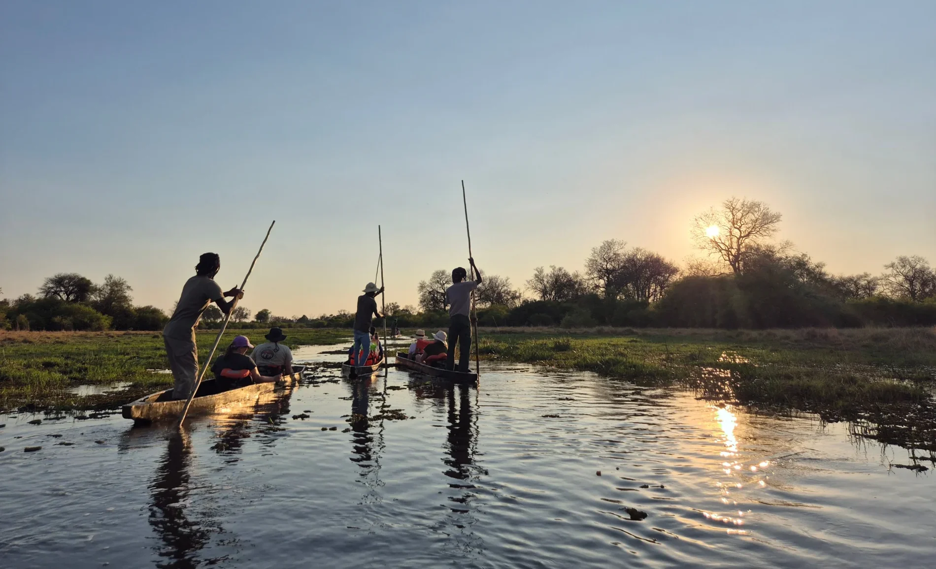 Three local polers take tourists through the delta in mokoros at sunset