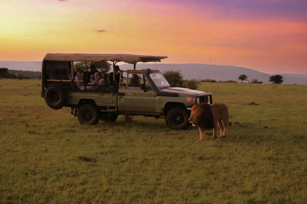 What is Big Five Safari?