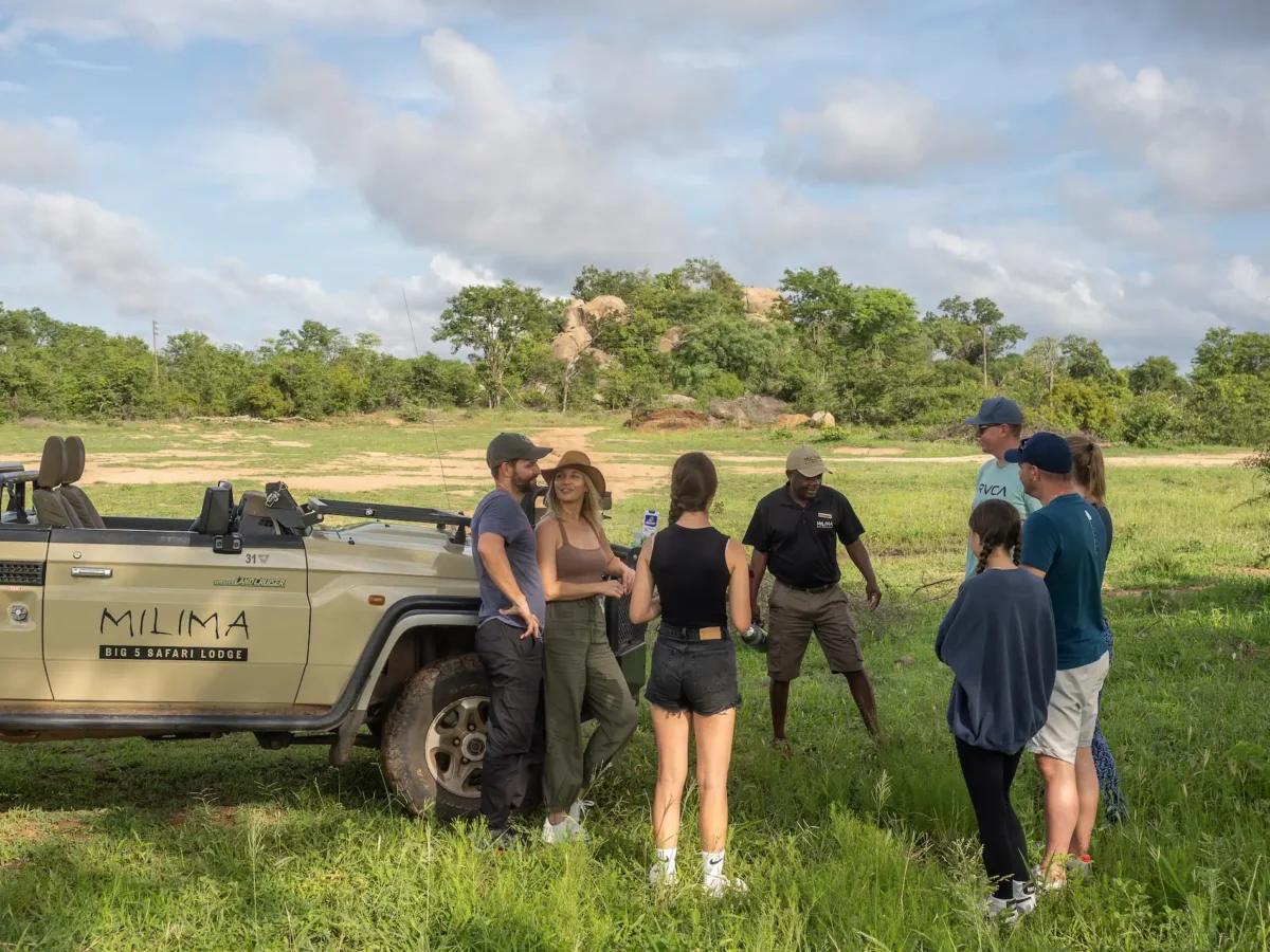 group-on-game-drive-milima