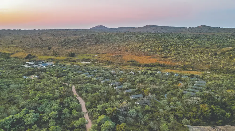 landscape view with a river a mountain and the bush