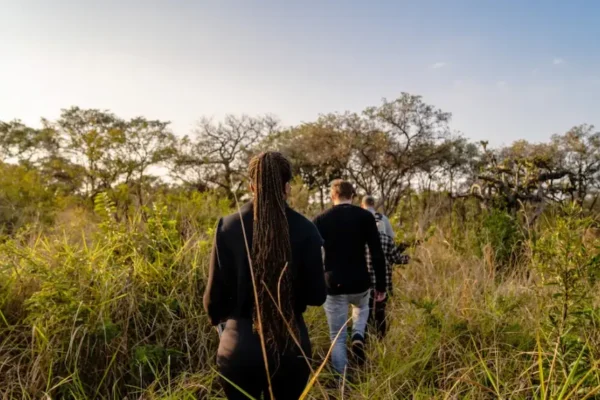 bush walk in the kruger with 2 peoples back to the camera