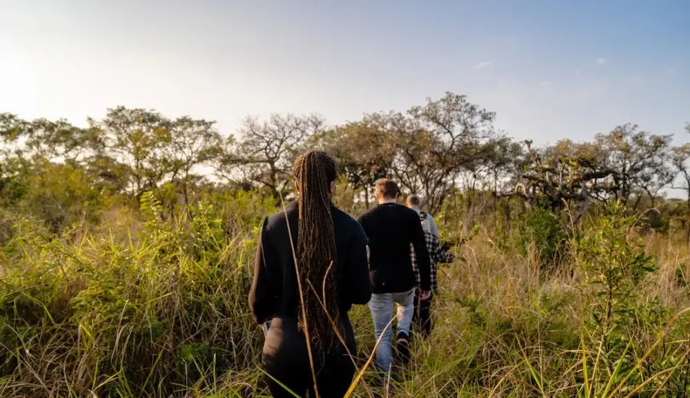 bush walk in the kruger with 2 peoples back to the camera