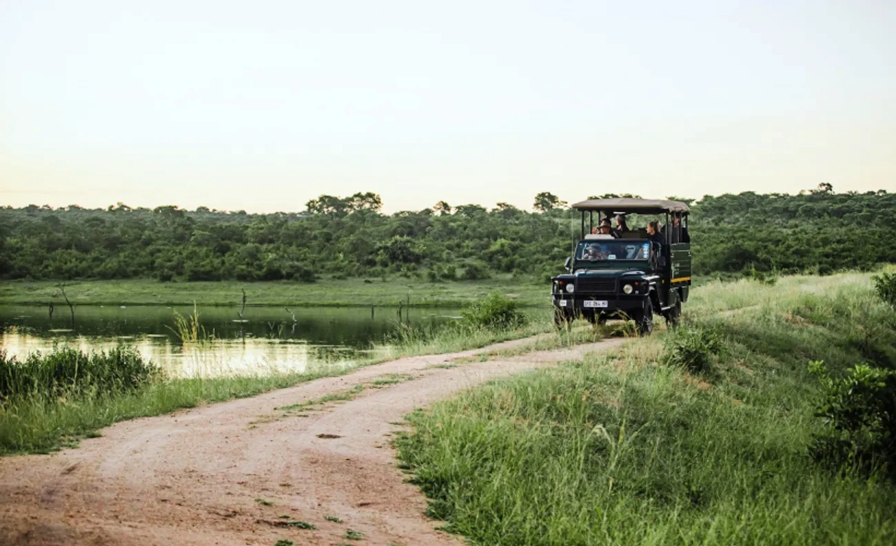4x4 game drive vehicle in the distance with a dirt road and green grass