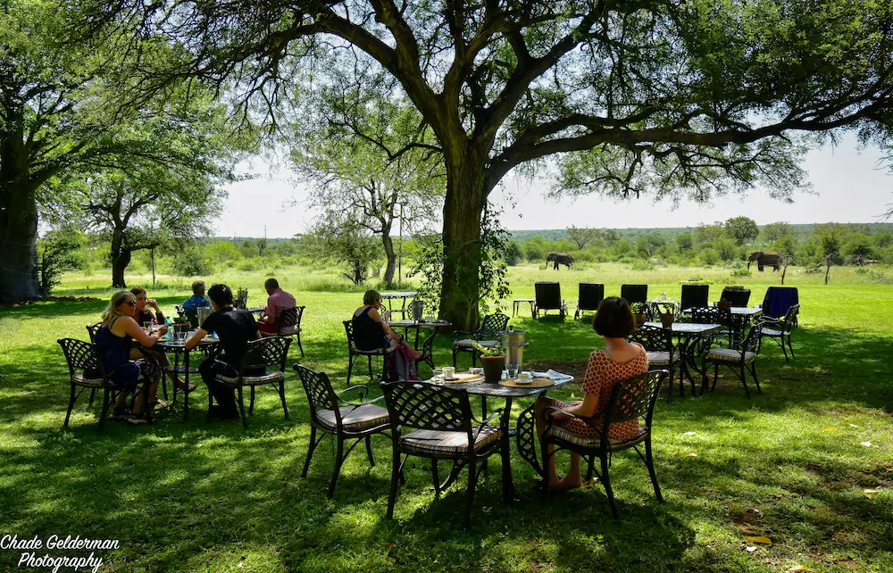 lunch out on the lawn at a lodge in the kruger