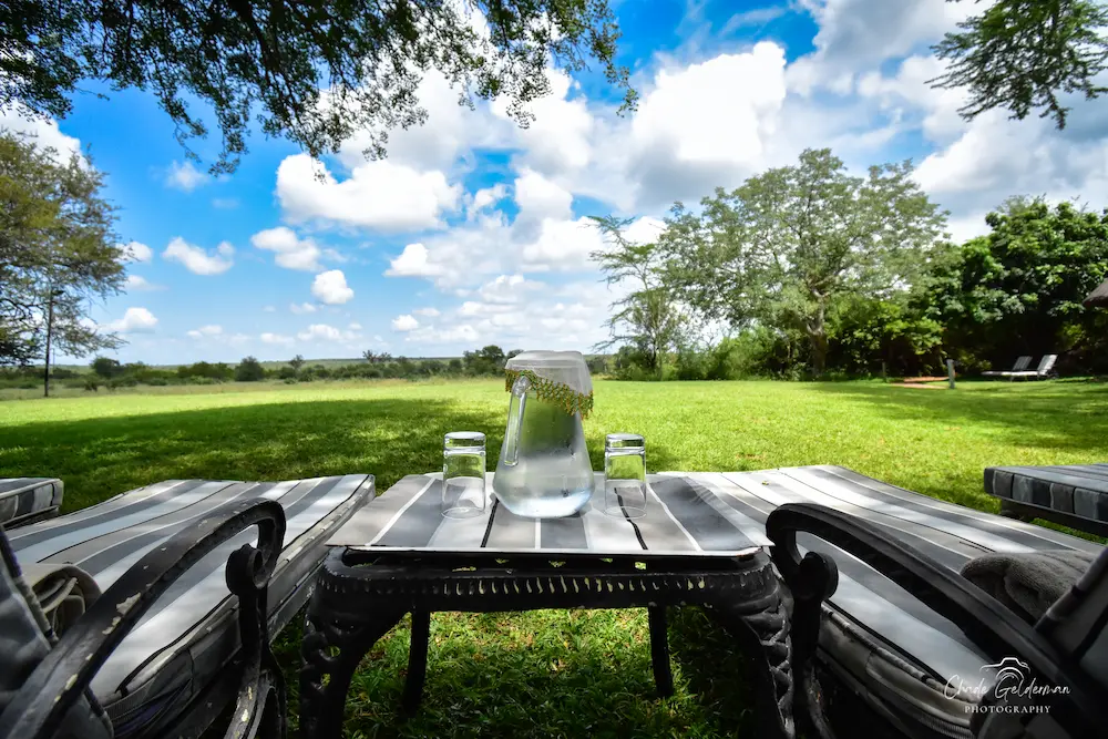 loungers looking out on a watering hole in the kruger