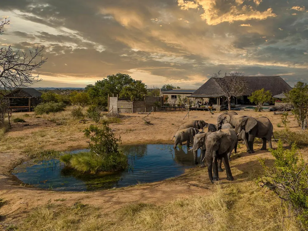 watering hole with elephants by it and a lodge in the distance