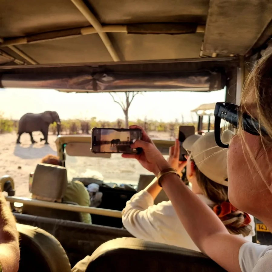 photographing-elephant-on-game-drive
