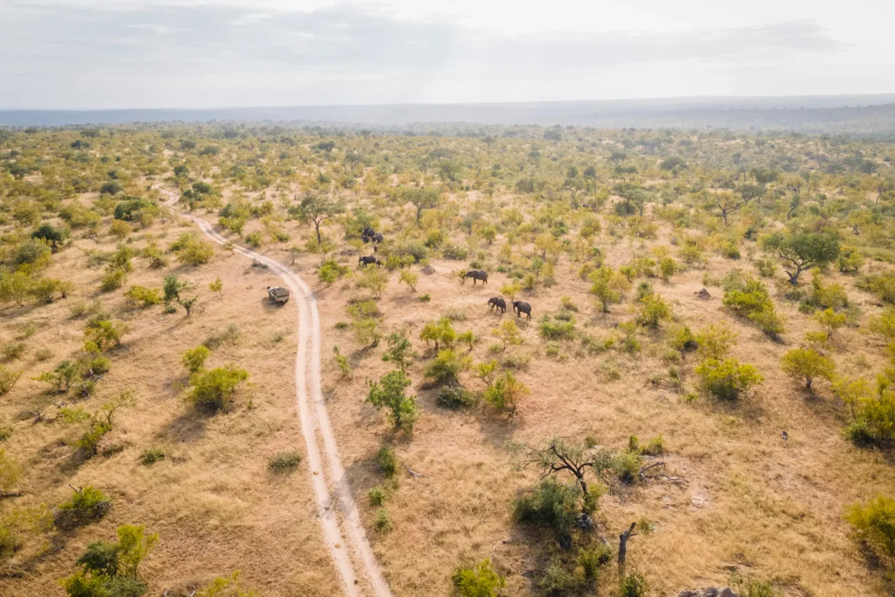 aerial-view-gamedrive-in-mohlabetsi
