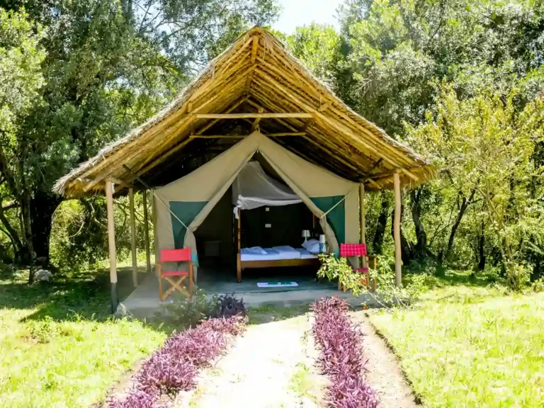 giraffe-camp-tent