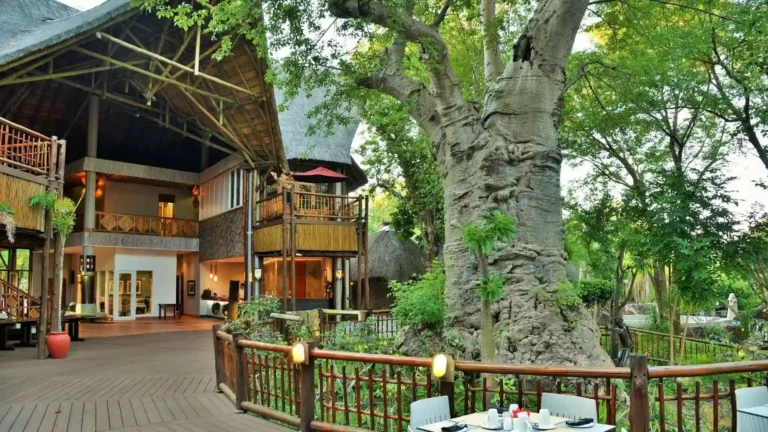 cresta-mowana-lodge