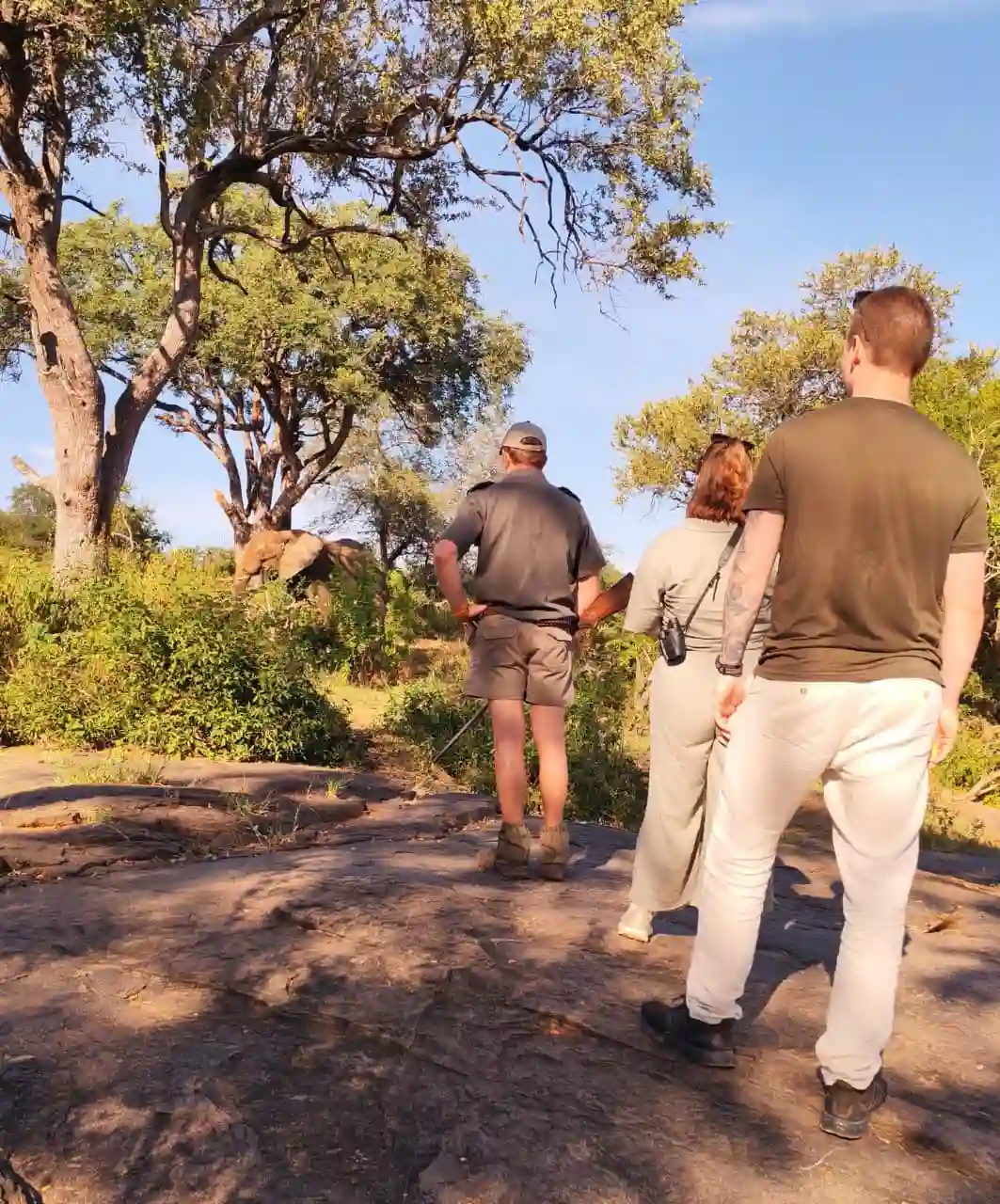 Bush walk along Olifants River with armed ranger