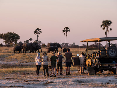 Tourists viewing elephants in Hwange