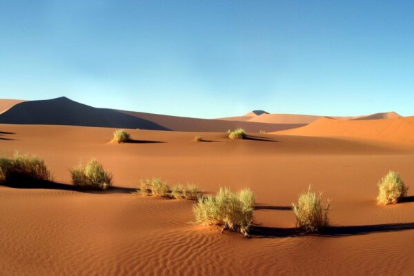 Panoramic view of Namibia desert landscape